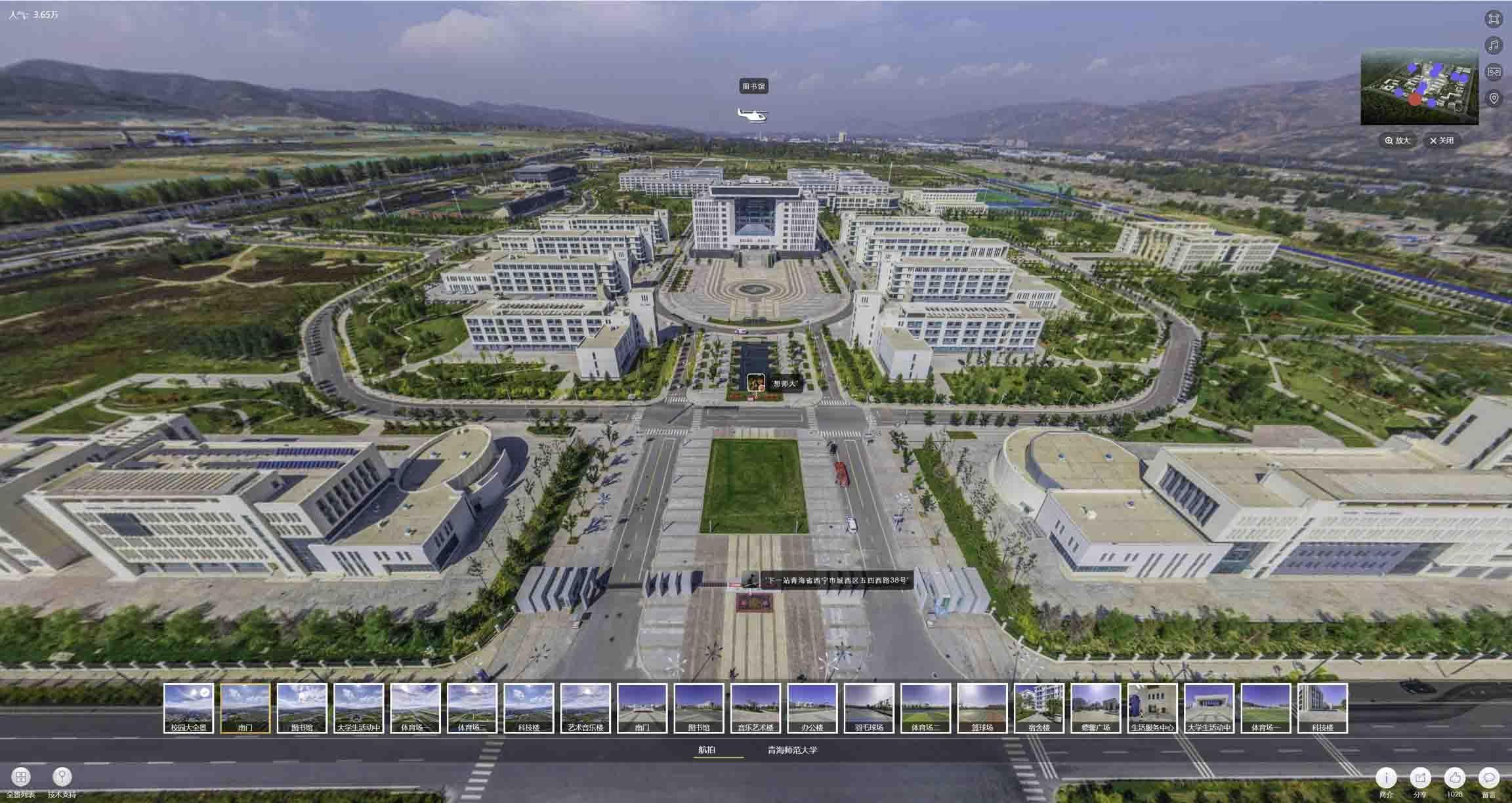 虎门港管委会油菜花-惊艳半生的花海仙境